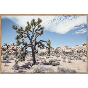 Amanti Art 41"x28" Yucca by Shot by Clint Framed Canvas Wall Art - 1 of 4