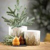 Forest Scene Planter Multicolor 5"H  Set of 3 - 3 of 4