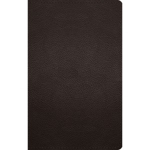 ESV Thinline Bible (Buffalo Leather, Deep Brown) - (Leather Bound) - 1 of 1