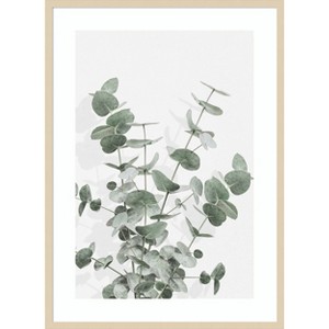 Amanti Art Eucalyptus Creative 16 by Pictufy Studio III Wood Framed Wall Art Print - 1 of 4