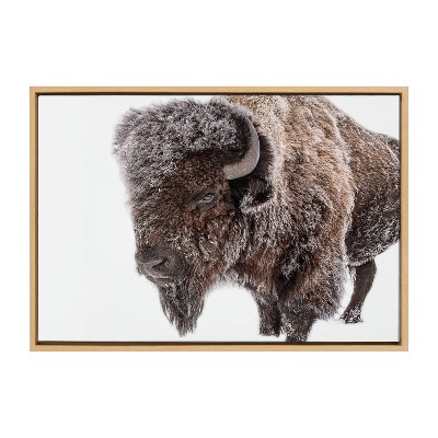 Large Natural Framed Bison in Snow Canvas Print