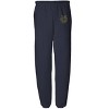 University of California Irvine Officially Licensed Apparel - Primary Logo Team Color Jogger Sweatpants - 2 of 4