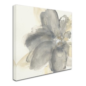 Trademark Fine Art -Chris Paschke 'Floral Gray I' Canvas Art - 1 of 3