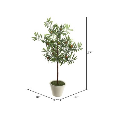 27" Potted Artificial Green Olive Tree in White Container
