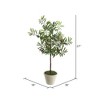 Vickerman 27" Artificial Green Olive Hill Tree. - 2 of 4