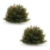Melrose Pine Half Orb (Set of 2) - 2 of 2