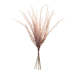 Melrose Grass Plume Bundle (Set of 6) - 1 of 3