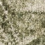 beige green