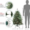 Northlight Real Touch™️ Pre-Lit Medium Washington Frasier Fir Artificial Christmas Tree - 4.5' - Clear Lights - 4 of 4