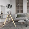 Dexmalle Simple Deluxe Tripod Pedestal Fan - 4 of 4