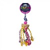 Prevue Pet Products Physical & Mental Court Jester Bird Toy 62546 - 2 of 3