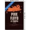 Trends International Pink Floyd: Live At Pompeii - Album Unframed Wall Poster Prints - 3 of 4