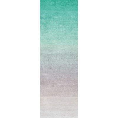Nuloom Handmade Ombre Shag Indoor Area Rug