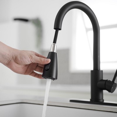 Matte Black Brass Single Handle Pull Down Kitchen Faucet