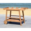 Renzo Indoor/Outdoor Bar Cart  - Safavieh - 3 of 4
