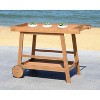 Renzo Indoor/Outdoor Bar Cart  - Safavieh - image 3 of 4