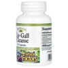 Natural Factors Liv-Gall Cleanse, 90 Capsules - 3 of 3