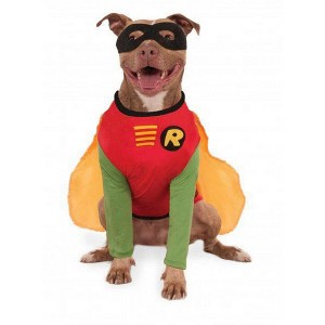 Rubies Robin - Big Dogs Pet Costume - 1 of 3