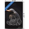 Trends International Fantastic Beasts: Crimes Of Grindelwald - Niffler Unframed Wall Poster Prints - 3 of 4