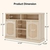 2-Door Rattan Decorated Sideboard Buffet Cabinet with Adjustable Shelves - 2 of 4