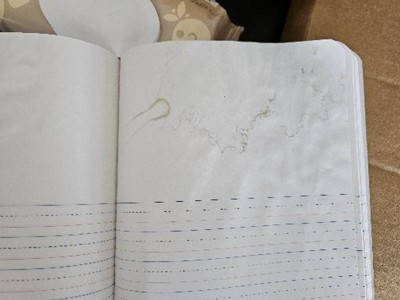 Guest review image 1 of 2, zoom in
