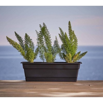 Bloem Dura Cotta 30" Black Weatherproof Resin Window Box Planter