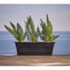 Bloem Rectangular Dura Cotta Window Box - 3 of 4