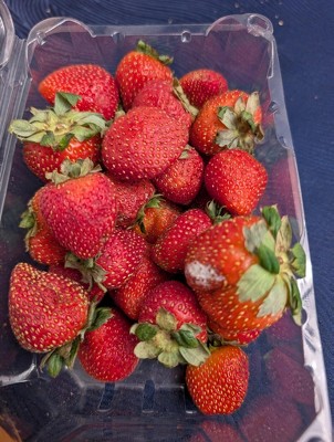 Guest review image 1 of 1, zoom in