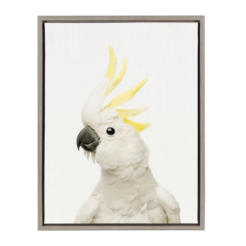 18&#34; x 24&#34; Sylvie Parrot Framed Canvas by Amy Peterson Gray - Kate and Laurel, 1 of 7