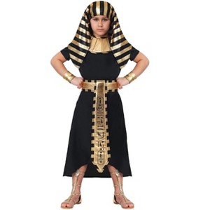 HalloweenCostumes.com Pharaoh Costume for Boy's - 1 of 3