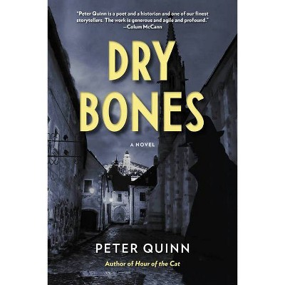 Dry Bones - (Fintan Dunne Trilogy) by  Peter Quinn (Paperback)