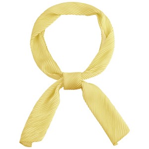 INSPIRE CHIC Women's Solid Contrast Color Pleated Long Satin Neck Scarves 49.2"x4.3" 1 Pc - 1 of 4