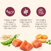 Nutrish Gentle Digestion with Real Salmon, Veggies & Brown Rice Dry Dog Food - 4 of 4