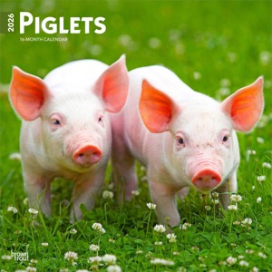 BrownTrout Piglets 2026 12"x24" Hanging Square Wall Calendar Plastic-Free - 1 of 4