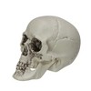 Northlight 3.5" Skeleton Skull Heads Halloween Decorations 6ct - White/Gray - 3 of 3