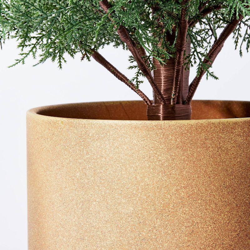 Large Pine Tree in Ceramic Pot - Threshold&#8482; designed with Studio McGee, 4 of 6