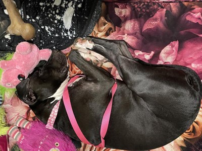 Guest review image 2 of 3, zoom in