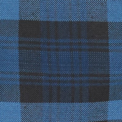 blue red plaid