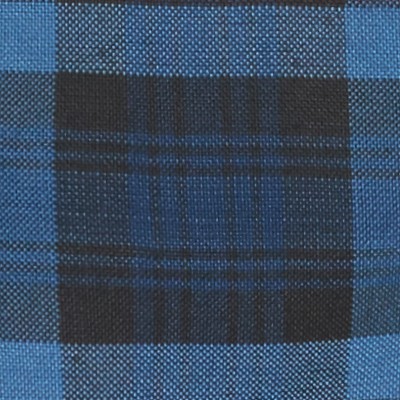 blue red plaid
