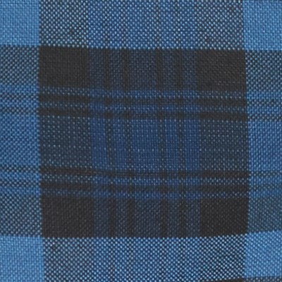 blue red plaid