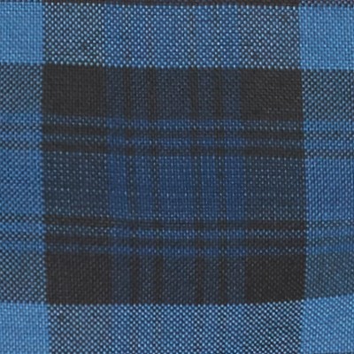 blue red plaid