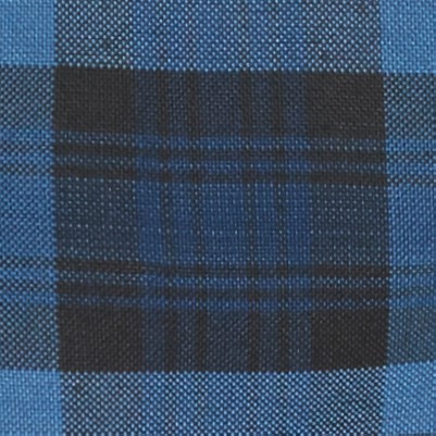 blue red plaid