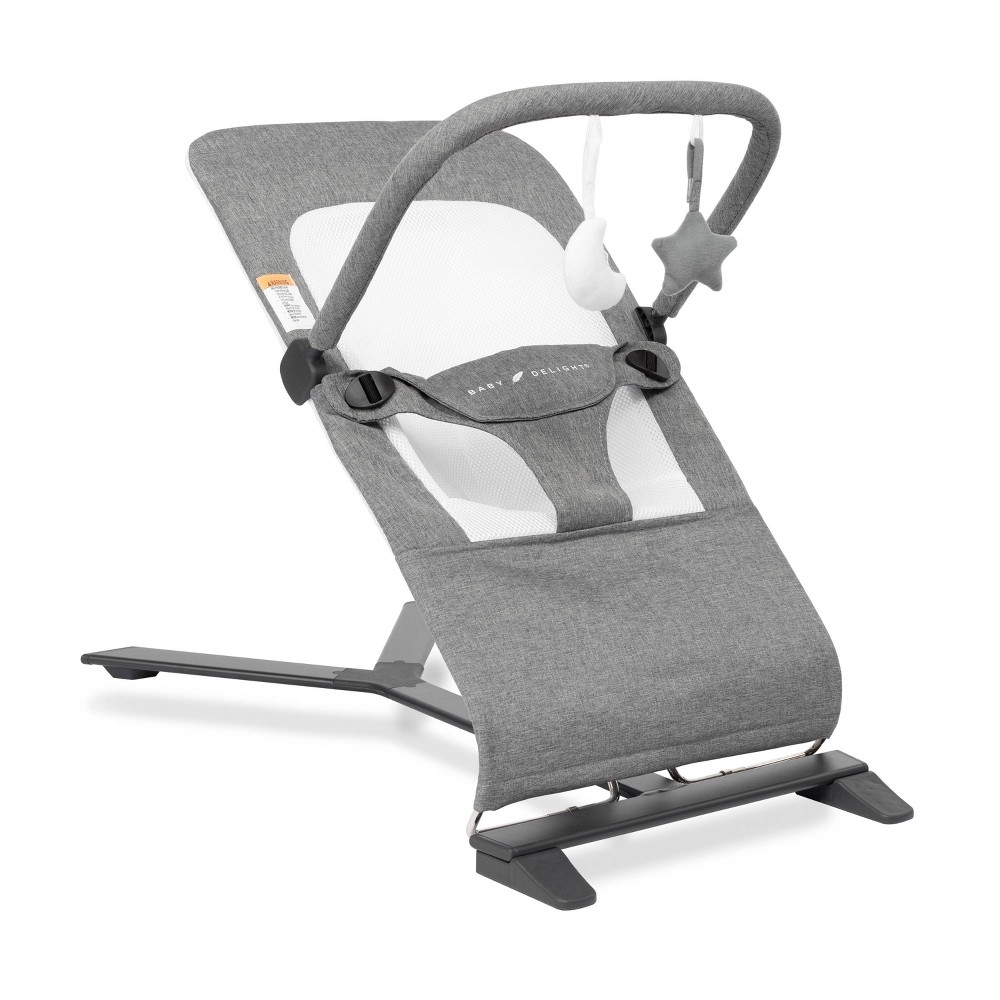 Photos - Other Toys Baby Delight Alpine Deluxe Portable Bouncer - Charcoal Gray 