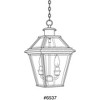 Progress Lighting Burlington 2-Light Outdoor Hanging Lantern, Antique Bronze, Clear Beveled Glass - 2 of 2