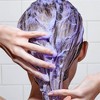 L'Oreal Paris EverPure Sulfate Free Purple Shampoo for Colored Hair - image 2 of 4