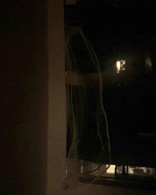 Guest review image 2 of 3, zoom in