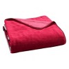 MLB St Louis Cardinals 50 x 60 Raschel Throw Blanket - 3 of 3