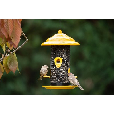 Bird Feeder Target