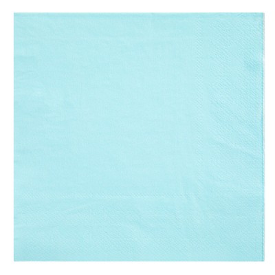 Light Blue Disposable Party Supplies Set for Graduation, Serves 24