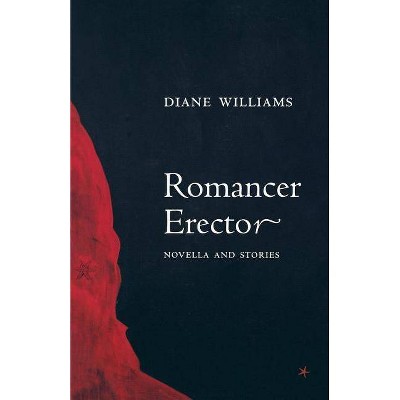 Romancer Erector - (American Literature (Dalkey Archive)) by  Diane Williams (Paperback)